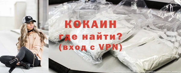 прущие грибы Вязники