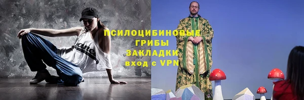 прущие грибы Вязники
