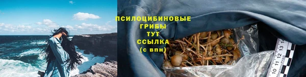СК Вяземский