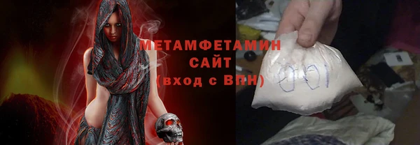 прущие грибы Вязники