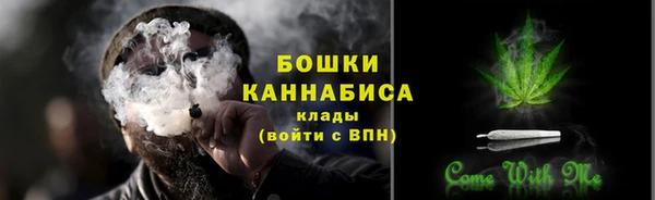 СК Вяземский