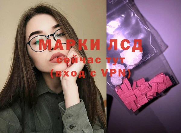 ешки Вязьма