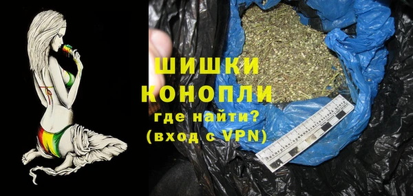 прущие грибы Вязники