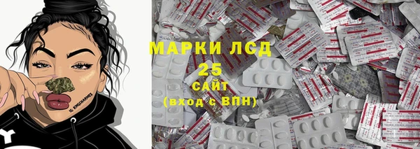 прущие грибы Вязники