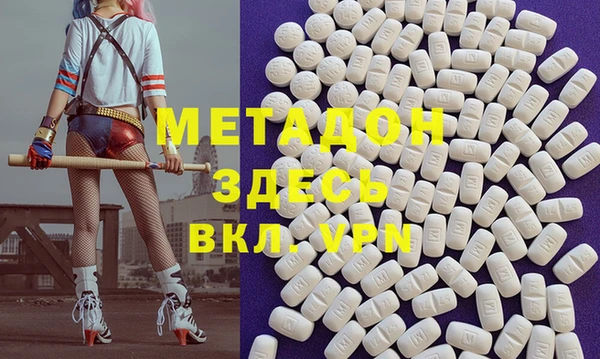 прущие грибы Вязники