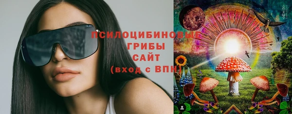 СК Вяземский
