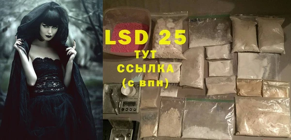 ешки Вязьма