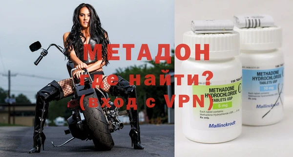 прущие грибы Вязники