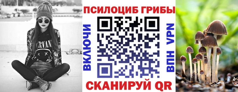 купить наркоту  Луза  Галлюциногенные грибы прущие грибы 