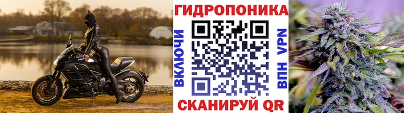 Бошки марихуана THC 21%  продажа наркотиков  Луза 